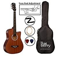 Blueberry 38 Inch Acoustic Guitar Kit Inbuilt Truss Rod, with Bag, Belt, One Pack Strings And Picks (Brown)