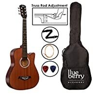 Blueberry 38 Inch Acoustic Guitar Kit Inbuilt Truss Rod, with Bag, Belt, One Pack Strings And Picks (Brown)