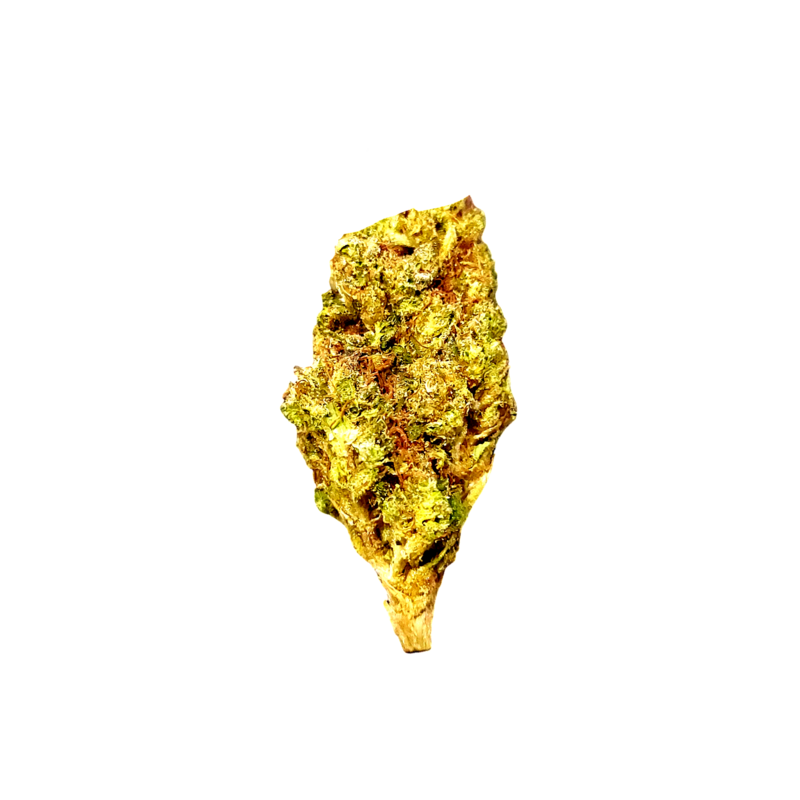 (Premium) Pineapple Pancakes Hybrid