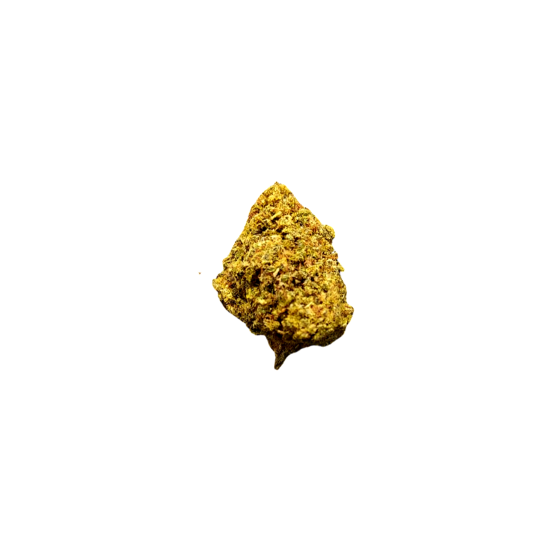 (Premium) Banana Hammock Indica
