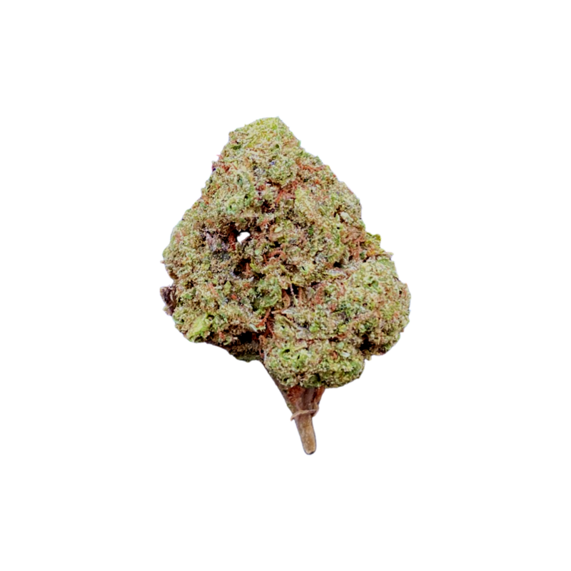 (Premium) Jet Fuel Gelato Hybrid