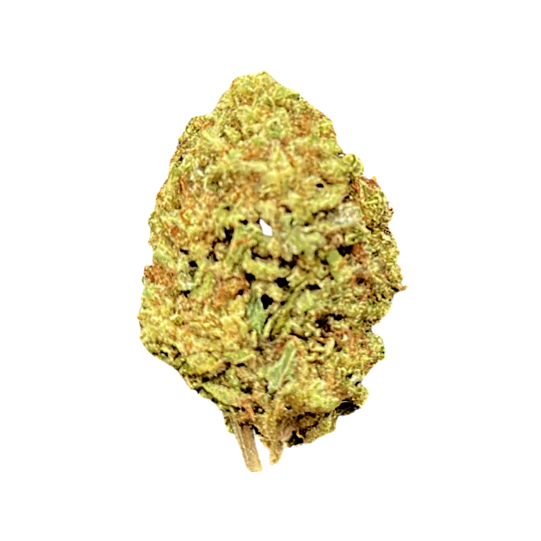 (Premium) Funnel Cake Hybrid