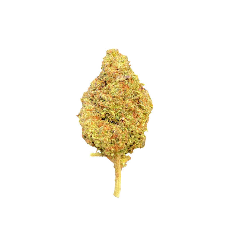 (Premium) Mint Face Off Hybrid