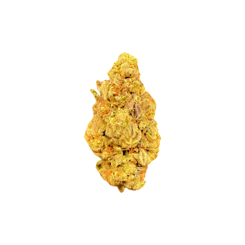 (Premium) Jungle Cake Hybrid