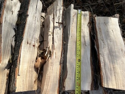 Bagged Firewood