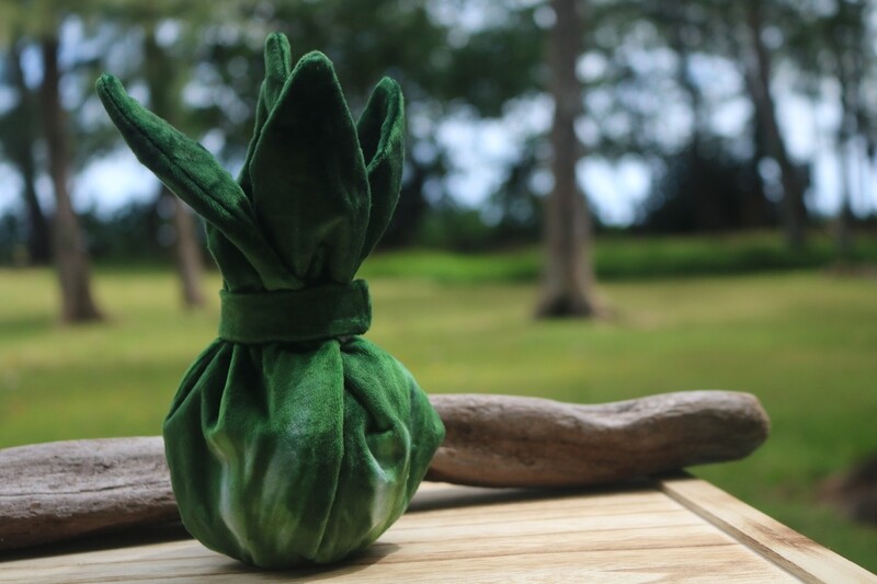 2-in-1 Laulau Plush