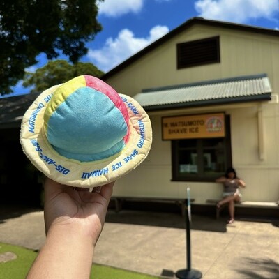 Matsumoto's 2-in-1 Shave Ice