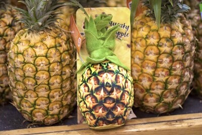 2-in-1 Squeaky Pineapple