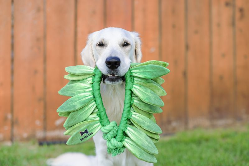 Maile Lei Rope Toy
