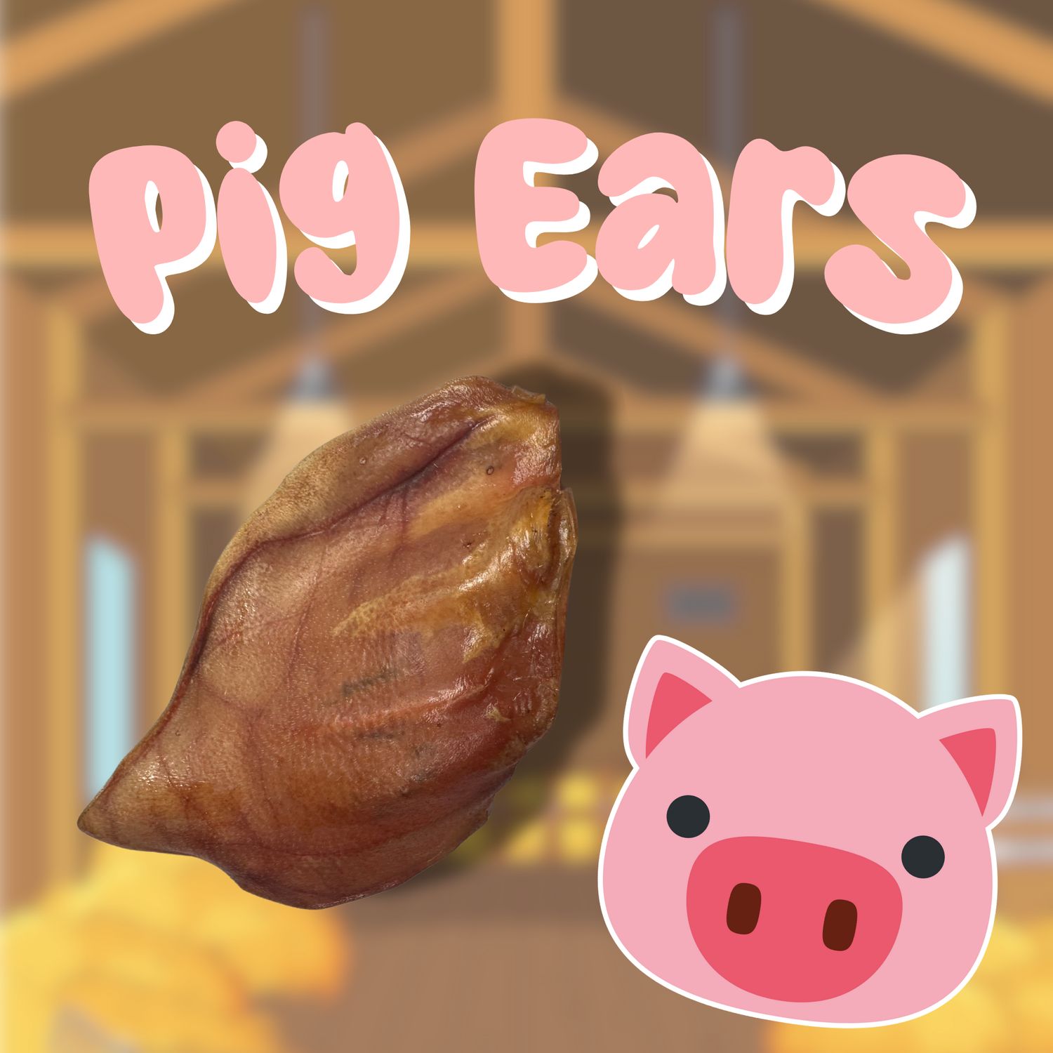 Piggy Ears (3)