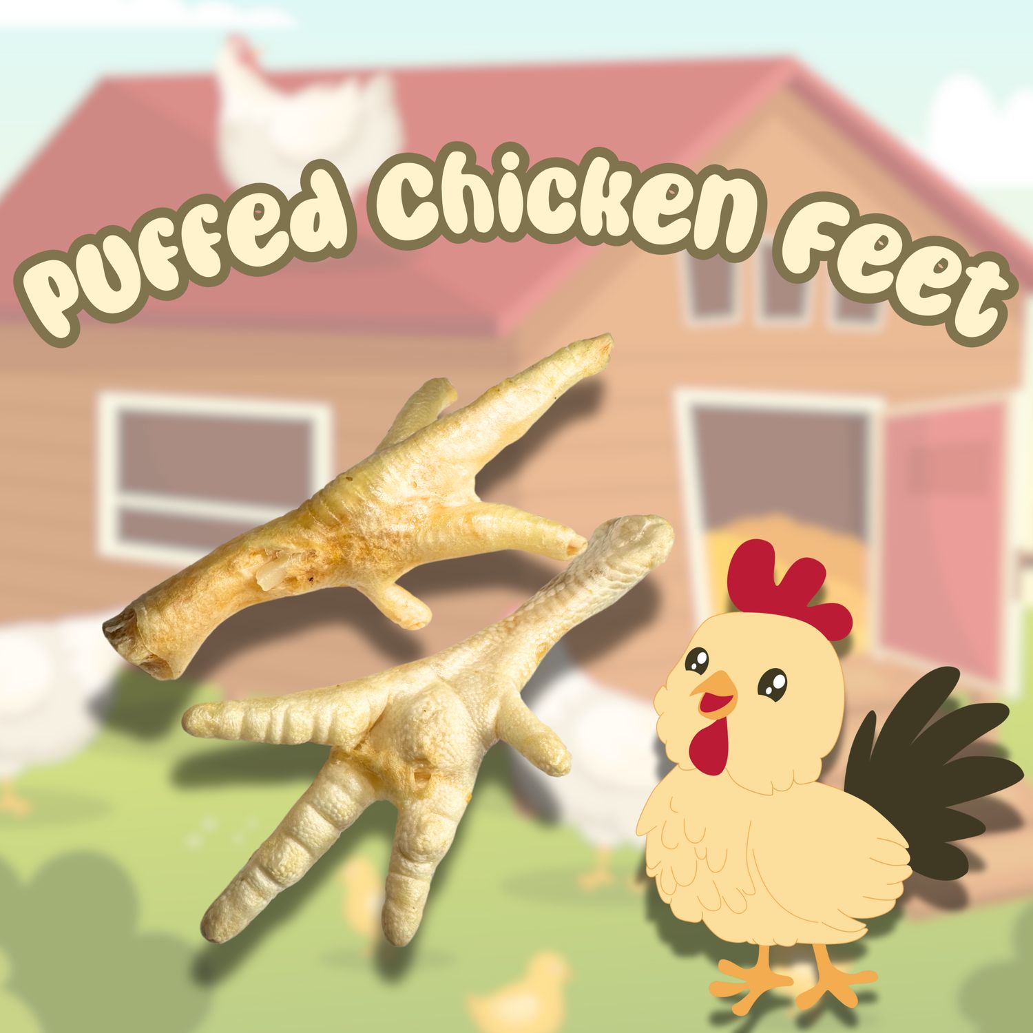Puffed Chicken Feet (5)