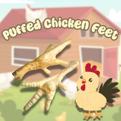 Puffed Chicken Feet- 5 for $10