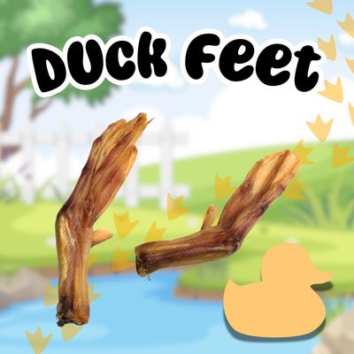 Ducky Feet- 3 for $9