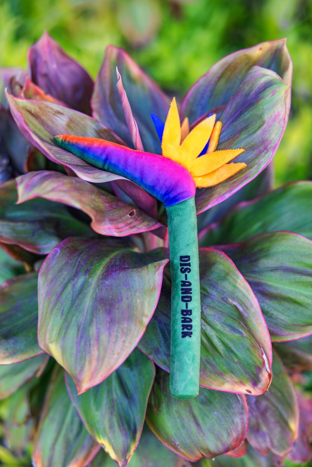 Bird of Paradise Throw Toy