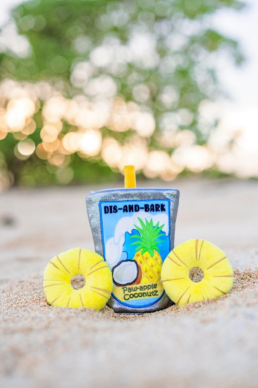 Juice Pouch Enrichment Toy