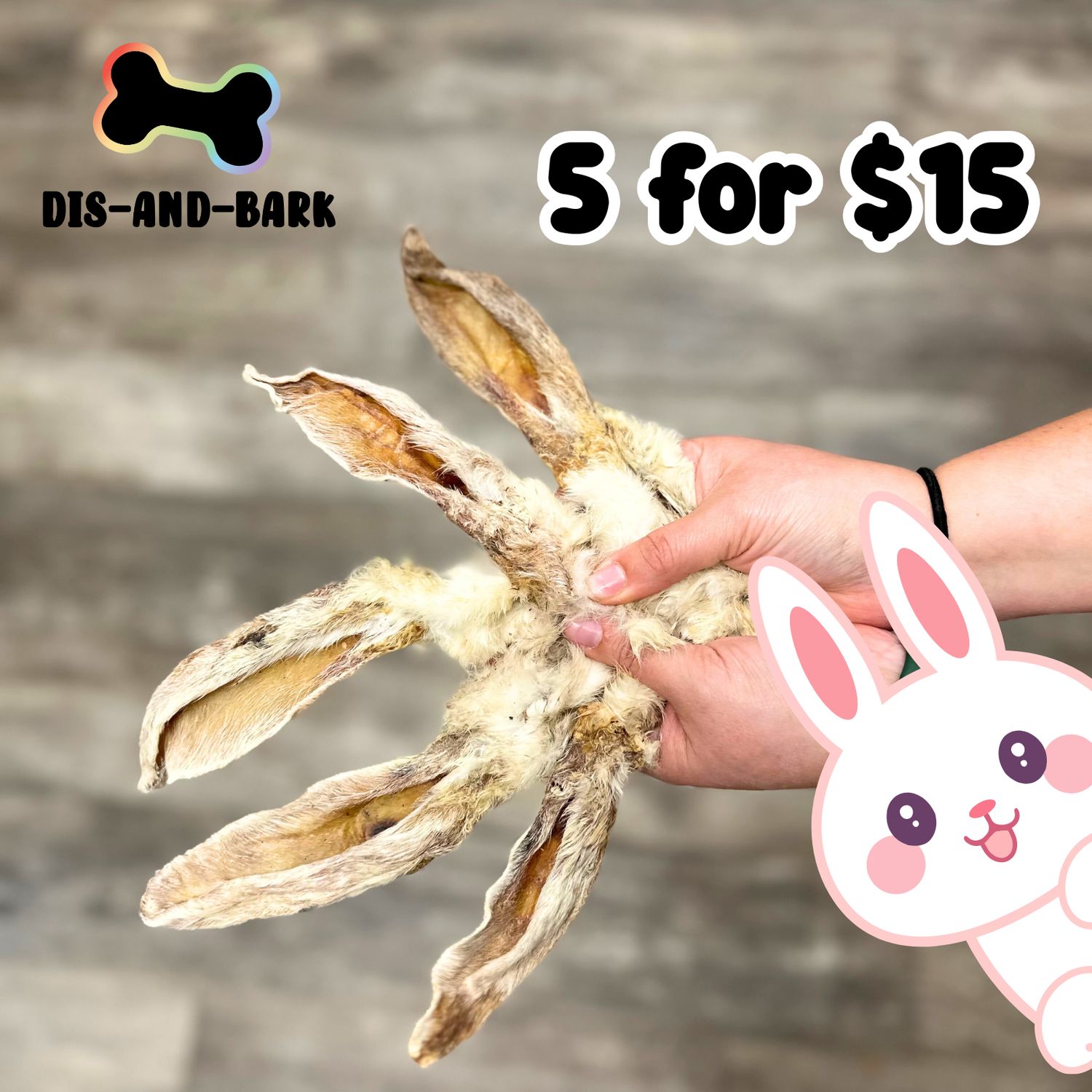 Rabbit Ears- 5 for $15