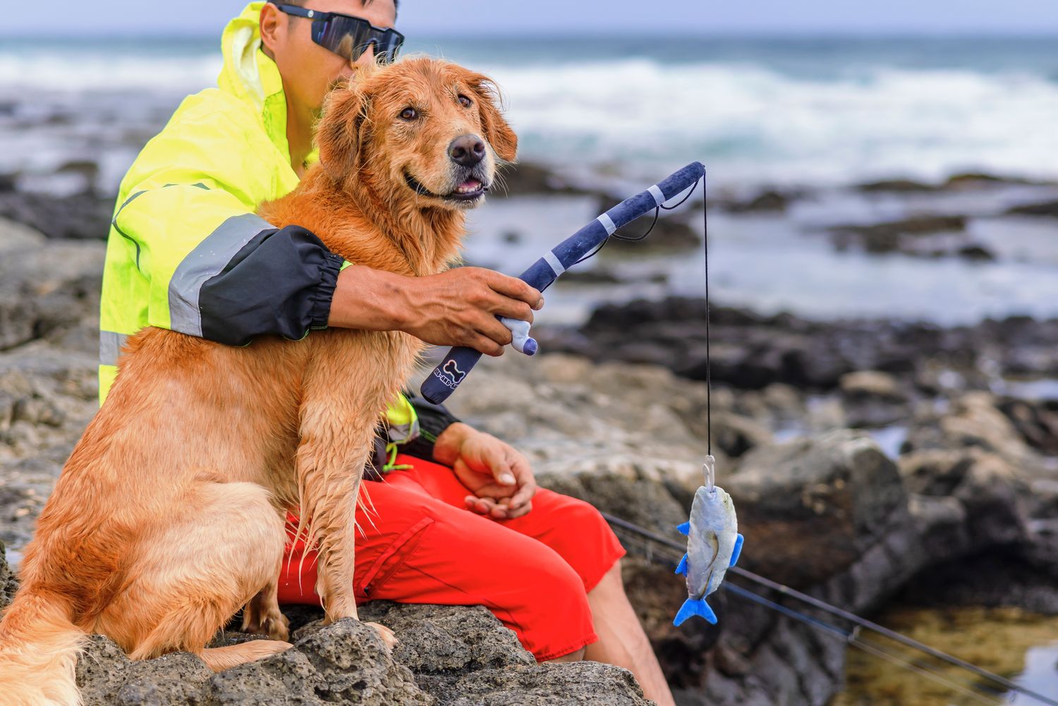 Plush Fishing Flirt Pole Toy