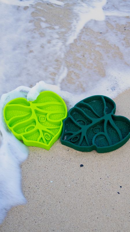 Monstera Slow Feeder