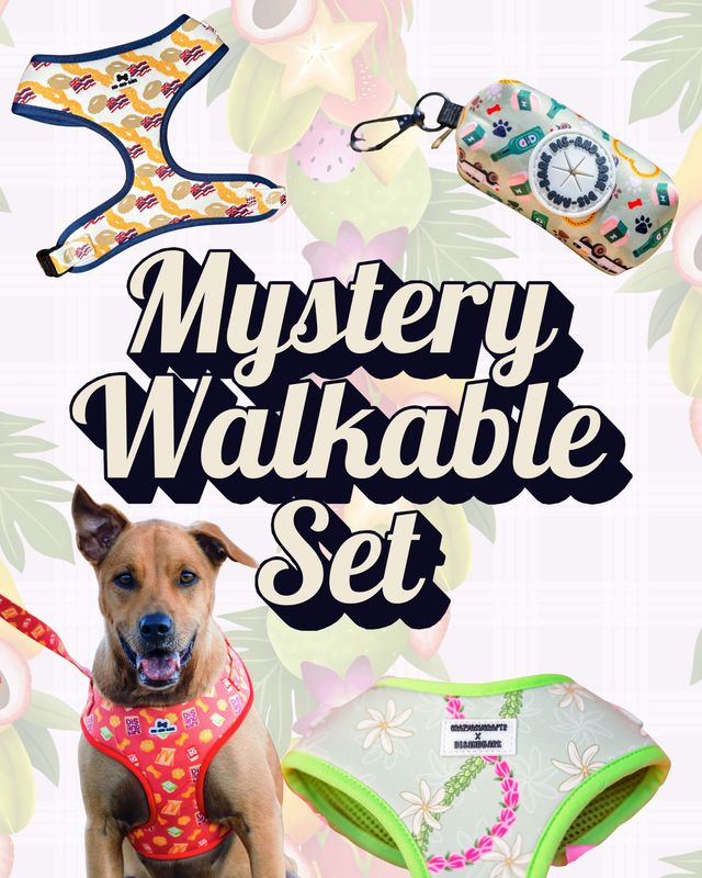Mystery Walkable Bundle Deal