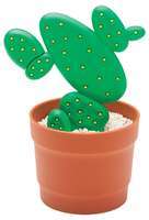 USB-флеш карта "Кактус" на 2 Гб