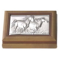 Шкатулка для драгоценностей CAVALLI