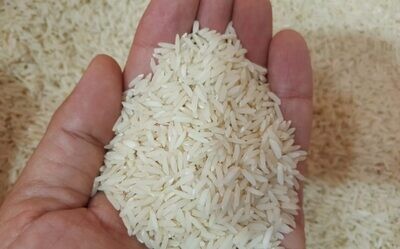 برنج و غلات