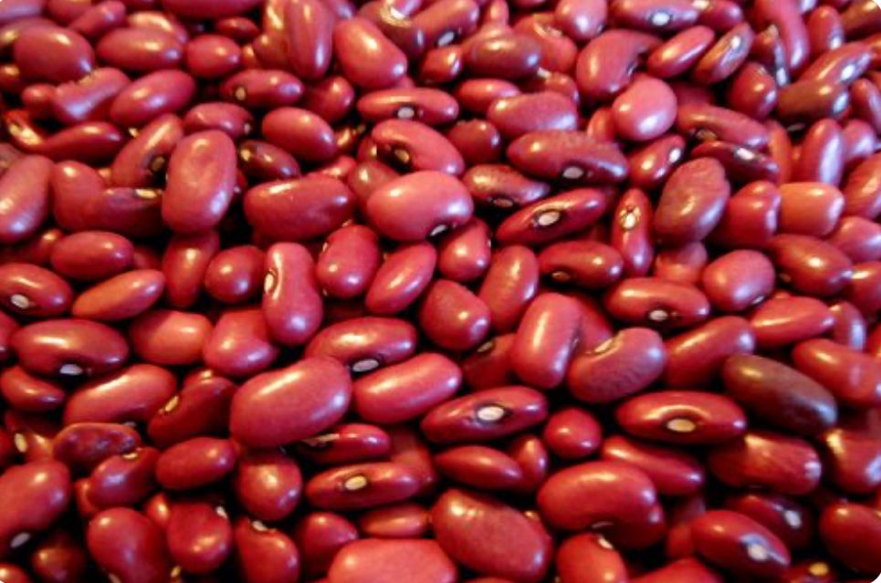 لوبیا قرمز زودپز قم برند تردک  - 400 گرمی