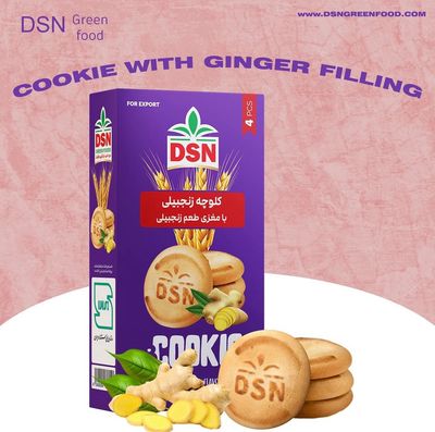DSN - کلوچه زنجفیلی ایران 180 گرمی DSN - کلوچه زنجفیلی ایران 180 گرمی