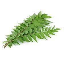 Curry Leaves (कडीपत्ता )