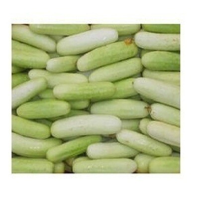 Cucumber (काकडी )