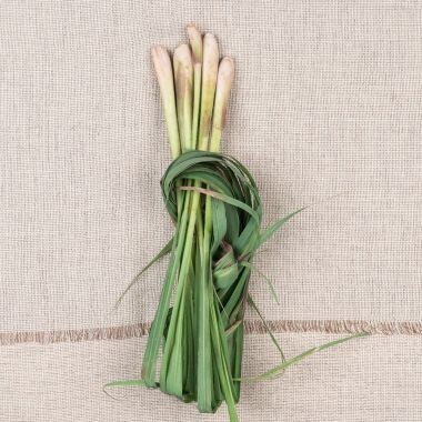 Lemon Grass (गवती चहा)