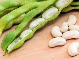 Field Beans (White)  (पांढरा घेवडा)