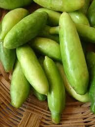 Tindora (तोंडली)