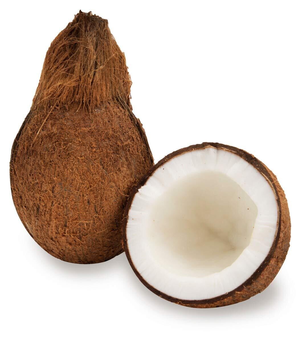 Coconut(नारळ)
