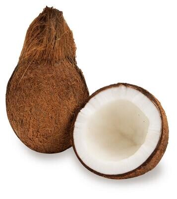 Coconut(नारळ)