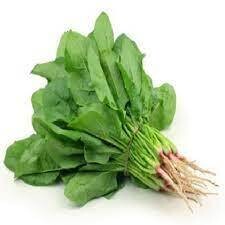 Palak (पालक)