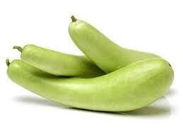 Bottle Guard (दुधी भोपळा) -