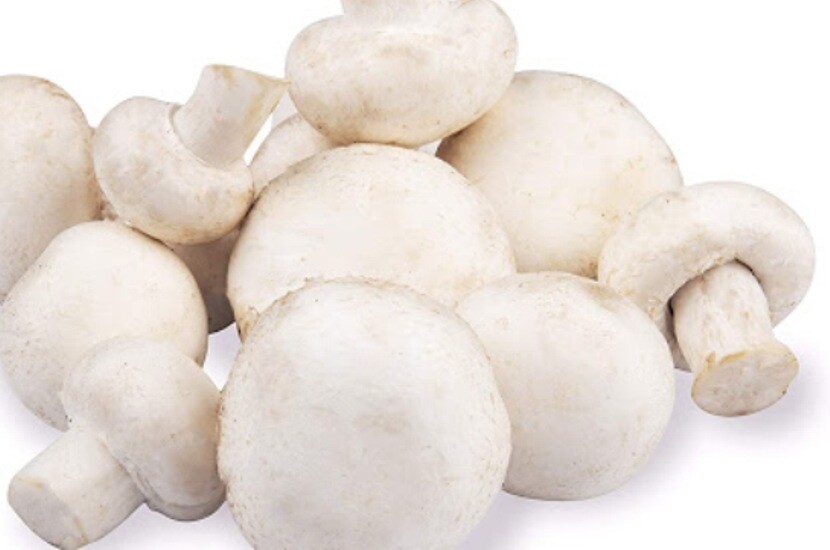 Mushroom (मशरूम)