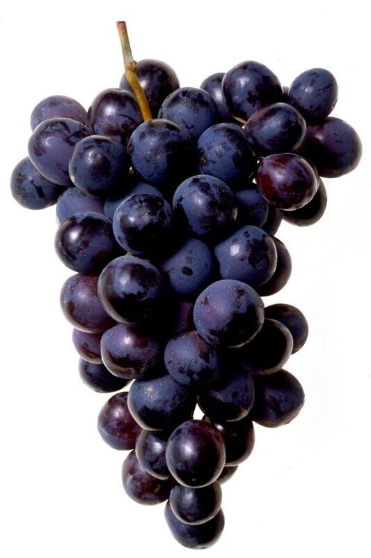 Grapes(Black)