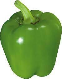Capsicum (सिमला मिरची)