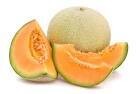 Muskmelon( खरबूज )
