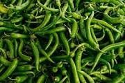 Green Chili Extra Hot ( हिरवी मिरची जास्त तिखट)