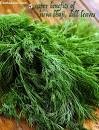 Shepu (शेपू )