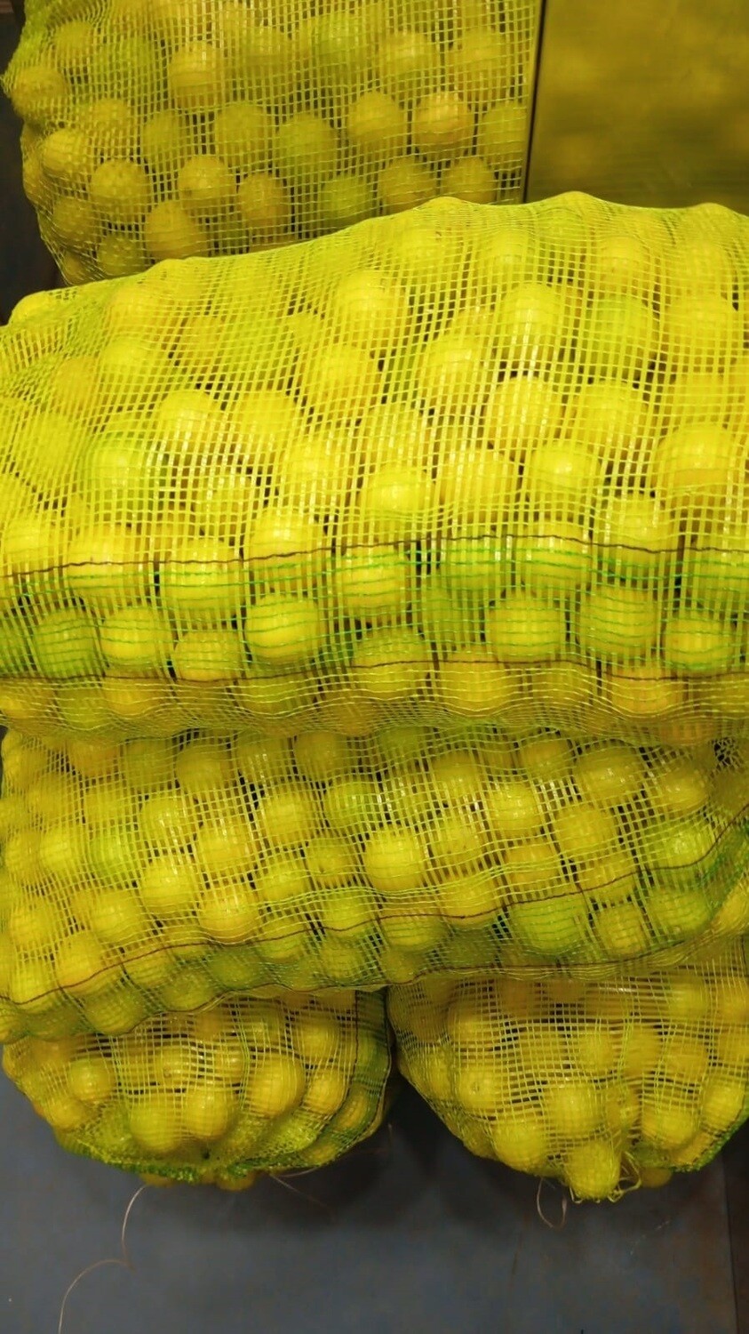 Wholesale Yellow Lemon - 100 Kg