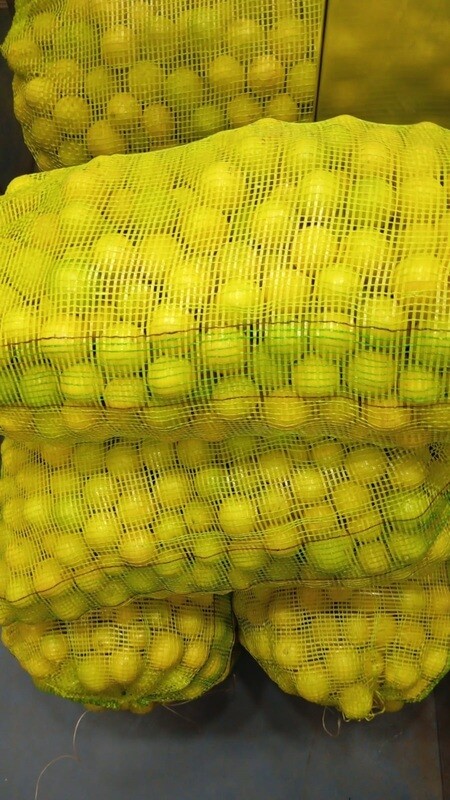 Wholesale Yellow Lemon - 100 Kg