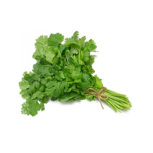Coriander (कोथिंबीर )