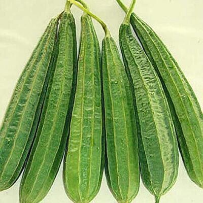 Ridge Gourd (दोडका)