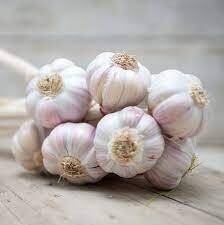 Garlic (लसूण )
