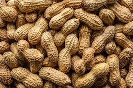 Ground Nuts (भुईमुगाची शेंग)