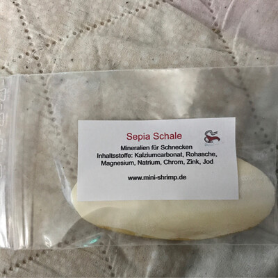 1 Sepia Schale (Mineralien für Schnecken)